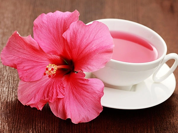 Uses of the Hibiscus Plant